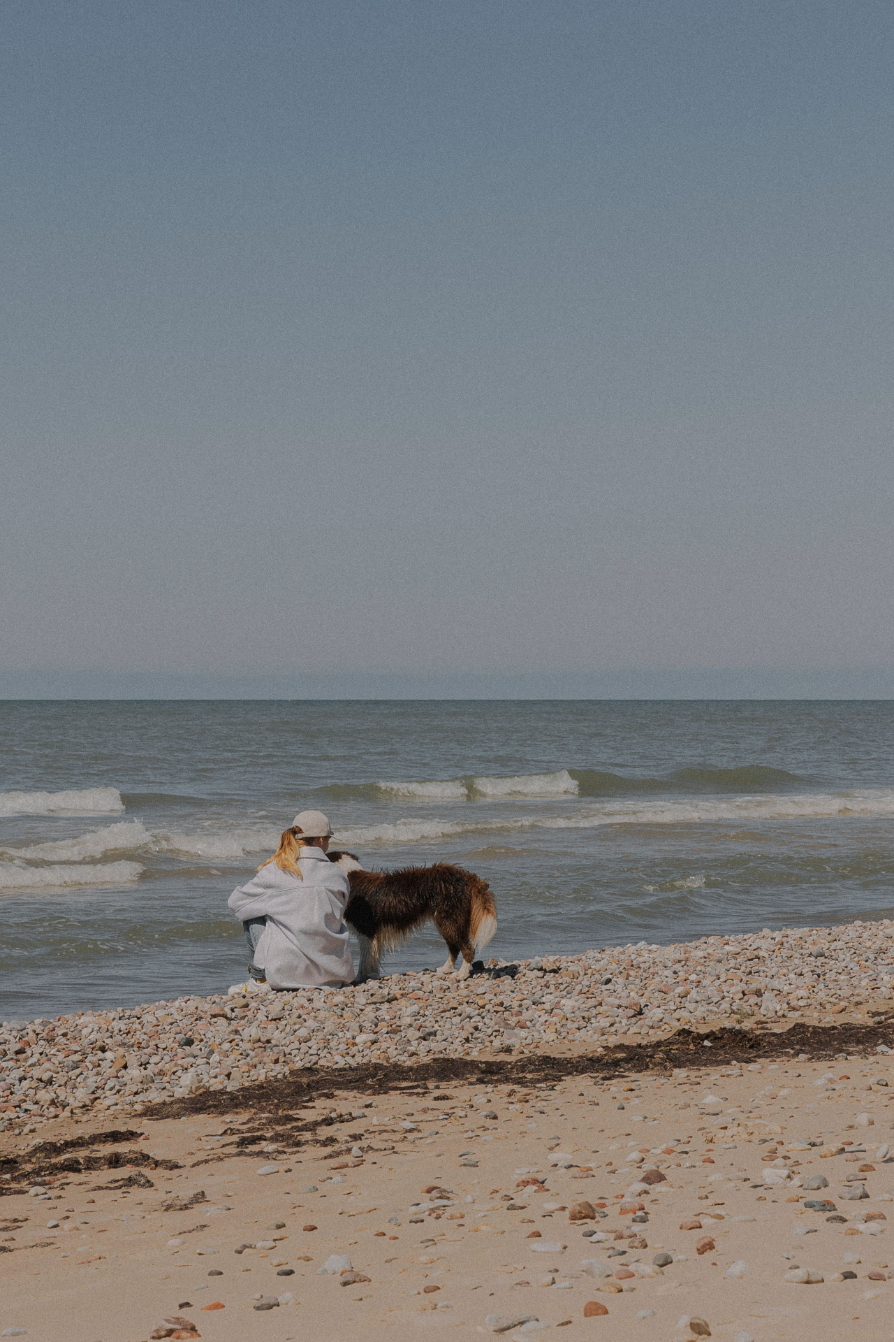 Bring the dog.