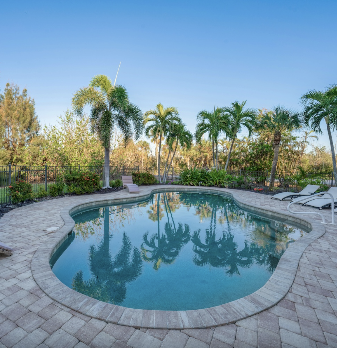 Poolside at Dockside Dream — palms and paver deck at golden hour